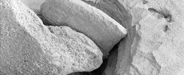 Natural Abstractions - a different view of our world