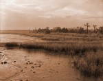 Dawn, Castaway Island