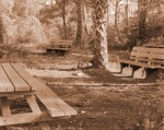 Resting Spot, Tides Preserve
