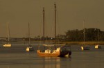 Sailboats at anchor